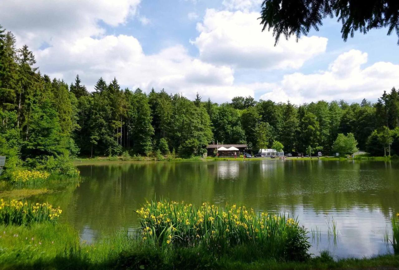 Rhoener Landhotel Haus Zur Wasserkuppe Ehrenberg  Экстерьер фото